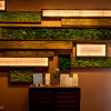 The quick fix massage shop st cloud mn